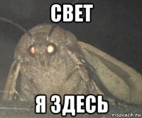 свет я здесь