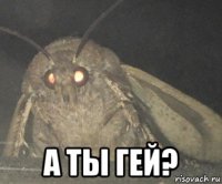  а ты гей?