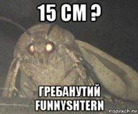 15 см ? гребанутий funnyshtern