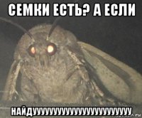 семки есть? а если найдуууууууууууууууууууууууу