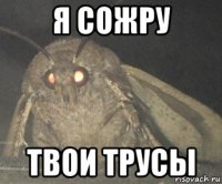 я сожру твои трусы