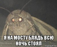  я на мосту блядь всю ночь стоял