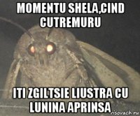 momentu shela,cind cutremuru iti zgiltsie liustra cu lunina aprinsa