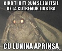 cind ti uiti cum se zgiltsie de la cutremur liustra cu lunina aprinsa