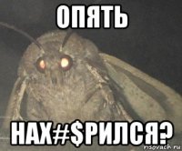 опять нах#$рился?