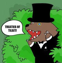 Treaties of Tilsit!