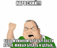 нарвский!!! будь мужиком блеать!! пости котов, живых блеать и целых..