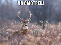 чо смотреш 