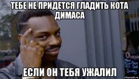 тебе не придется гладить кота димаса если он тебя ужалил