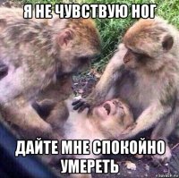 я не чувствую ног дайте мне спокойно умереть