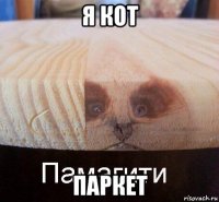 я кот паркет