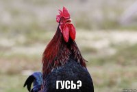  гусь?