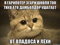 я гарипотер згари школя ток тихо ато дамболдор ушатает от владоса и лёхи