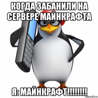 когда забанили на сервере майнкрафта я: майнкрафт!!!!!!!!