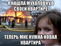 я нашла мухоловку в своей квартире теперь мне нужна новая квартира