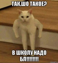 так,шо такое? в школу надо бл!!!!!!!!