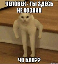 человек - ты здесь не хозяин чо бля??