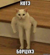 котэ борцухэ