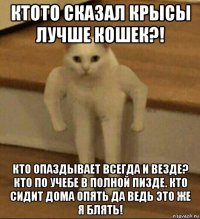 ктото сказал крысы лучше кошек?! кто опаздывает всегда и везде? кто по учебе в полной пизде. кто сидит дома опять да ведь это же я блять!