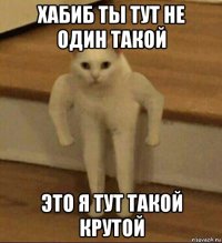 хабиб ты тут не один такой это я тут такой крутой