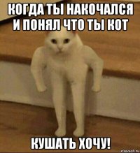 когда ты накочался и понял что ты кот кушать хочу!