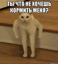 ты что не хочешь кормить меня? 