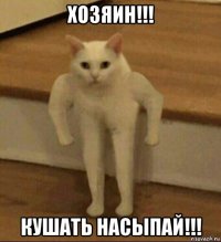 хозяин!!! кушать насыпай!!!