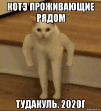 котэ проживающие рядом тудакуль. 2020г