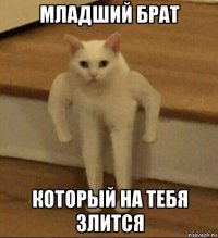 младший брат который на тебя злится