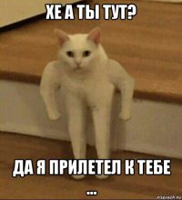 хе а ты тут? да я прилетел к тебе ...