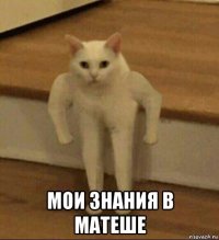  мои знания в матеше