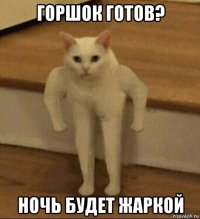 горшок готов? ночь будет жаркой