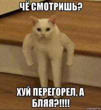 чё смотришь? хуй перегорел, а бляя?!!!!