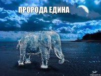 пророда едина 