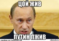 цой жив путин пжив