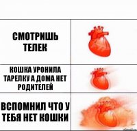 Смотришь телек Кошка уронила тарелку а дома нет родителей Вспомнил что у тебя нет кошки