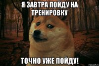 я завтра пойду на тренировку точно уже пойду!