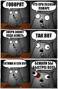 говорят что при лесном пожаре звери знают куда бежать так вот сктима и соу кул бежали бы быстрее всех