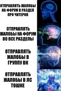 Отправлять жалобы на форум в раздел про читеров Отправлять жалобы на форум во все разделы Отправлять жалобы в группу вк Отправлять жалобы в лс Тошке