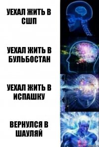 Уехал жить в сшп Уехал жить в бульбостан Уехал жить в испашку Вернулся в Шауляй