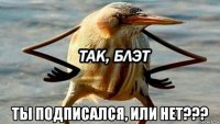  ты подписался, или нет???