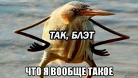  что я вообще такое