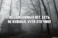 Не заменимых нет. Есть не нужные. Учти это чмо!