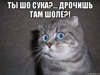 ты шо сука?... дрочишь там шоле?! 