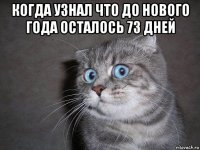 когда узнал что до нового года осталось 73 дней 