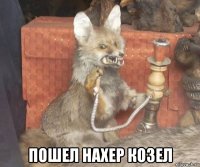  пошел нахер козел