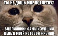 ты не дашь мне котлетку? блллииииин самый худший день в моей котовой жизни((