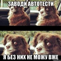 заводи автотести я без них не можу вже