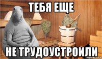 тебя еще не трудоустроили