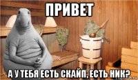 привет а у тебя есть скайп, есть ник?